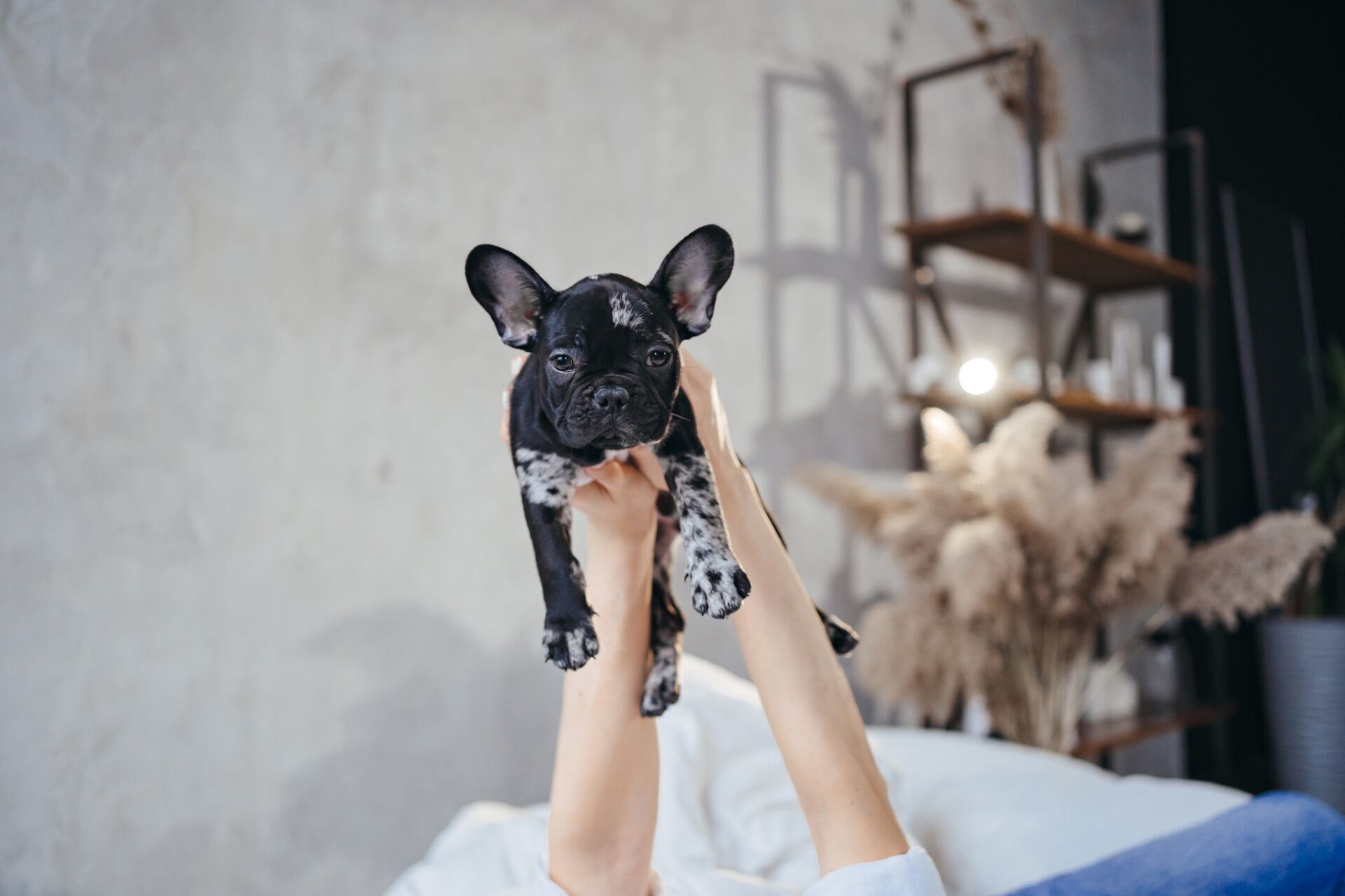 pixta_87324746_M